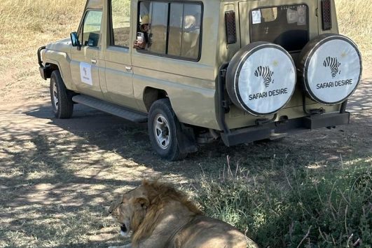 5-day safari Tanzania
