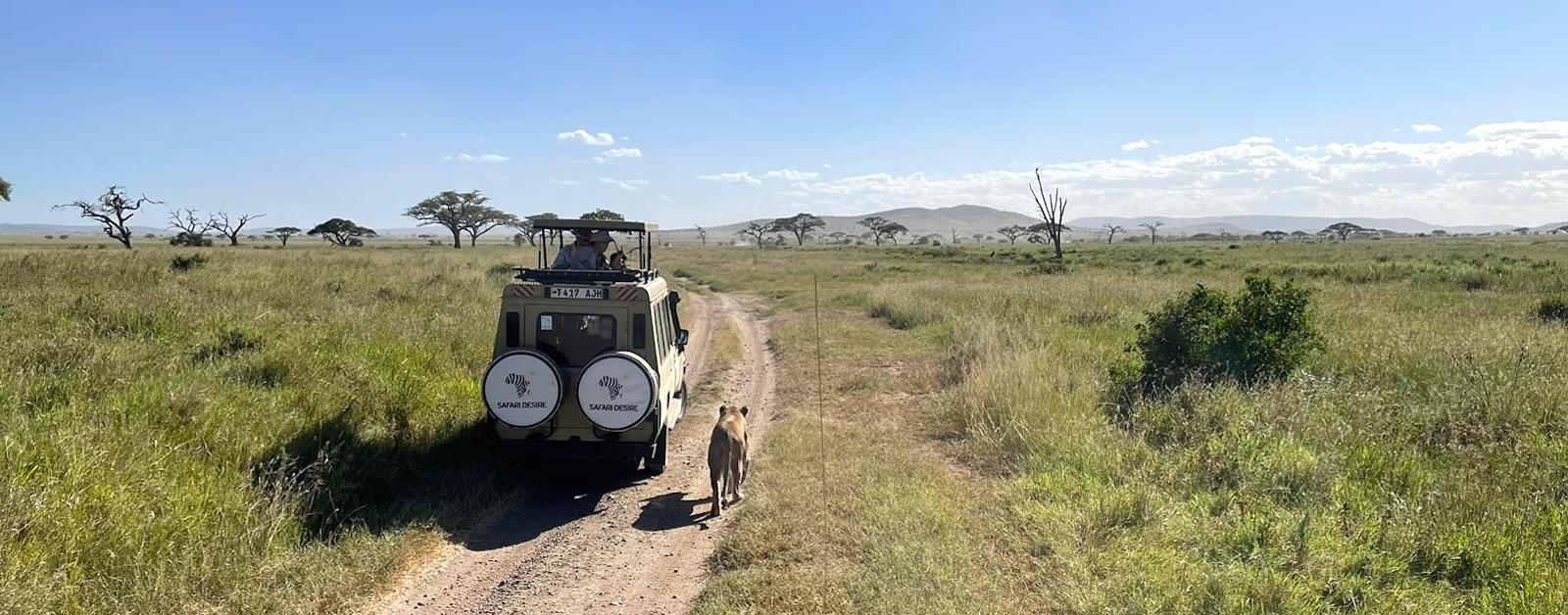 Kenya and Tanzania Safari Tours